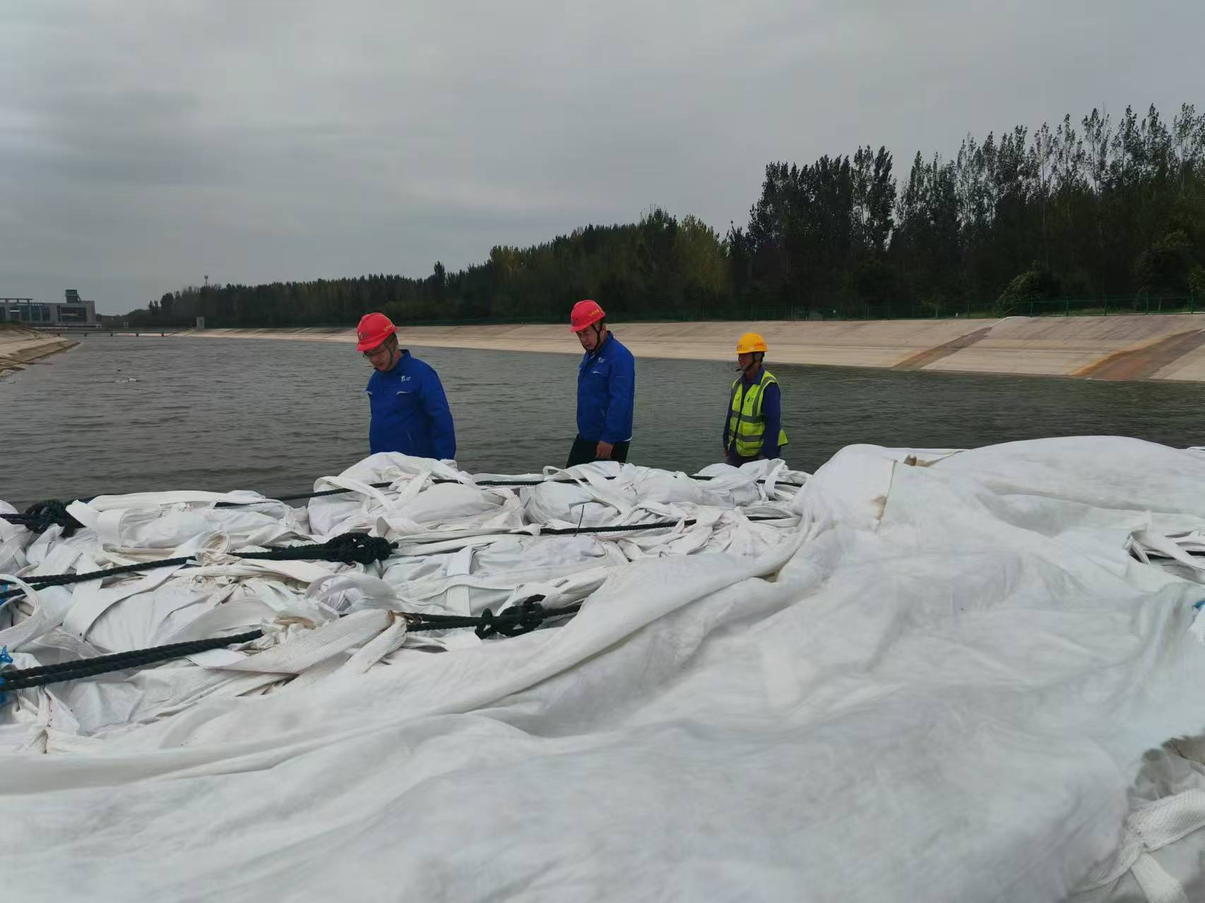 圖片23.png 圖片23.png